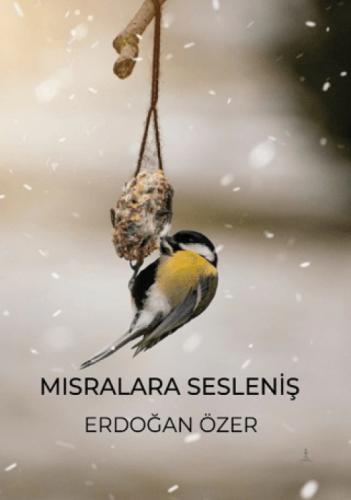Mısralara Sesleniş  Frontansicht 1