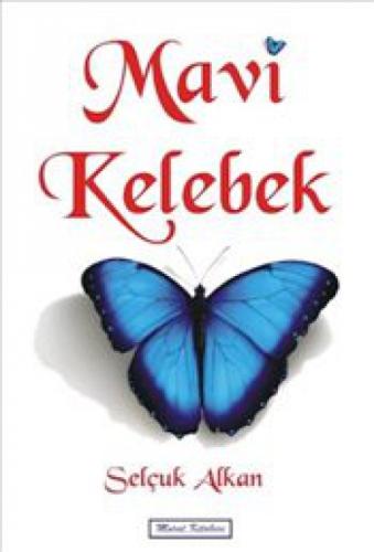 Mavi Kelebek  Frontansicht 1