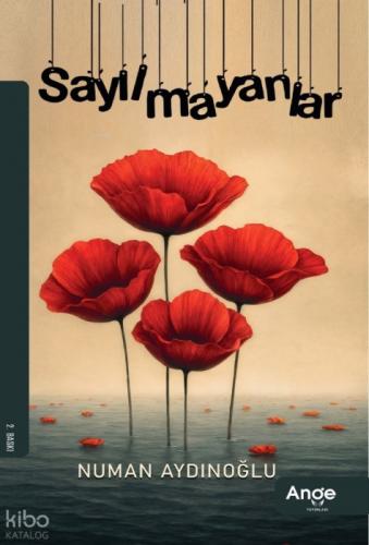 Sayılmayanlar  Frontansicht 1