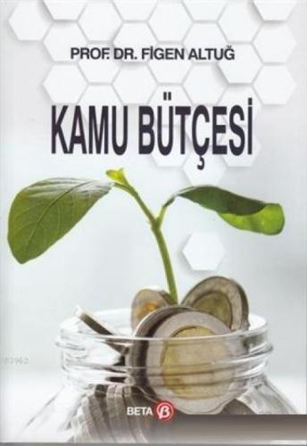 Kamu Bütçesi  Frontansicht 1