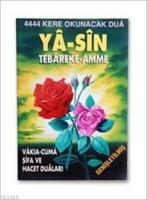 Yasin Tabareke Amme -genişletilmiş (şamua)  Frontansicht 1
