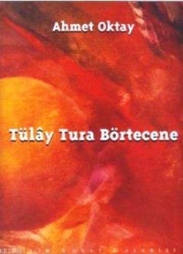 Tülay Tura Börtecene Cilt 2; Bir Resmin Kırk Yılı Uzam ve Zaman, Rastlantı ve Kaos  Frontansicht 1