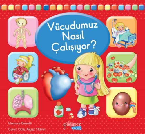 Vücudumuz Nasıl Çalışıyor?  Frontansicht 1