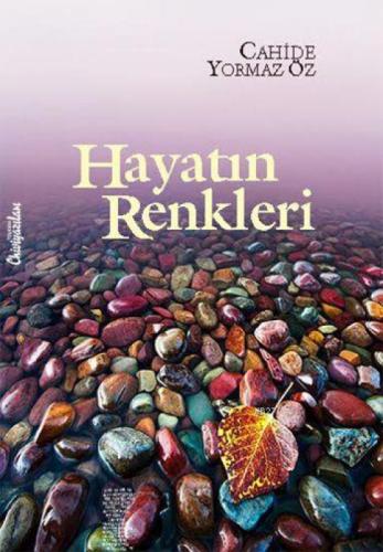 Hayatın Renkleri  Frontansicht 1