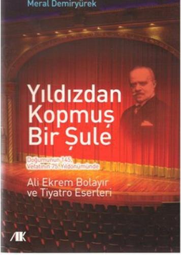 Yıldızdan Kopmuş Bir Şule  Frontansicht 1