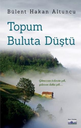 Topum Buluta Düştü  Frontansicht 1