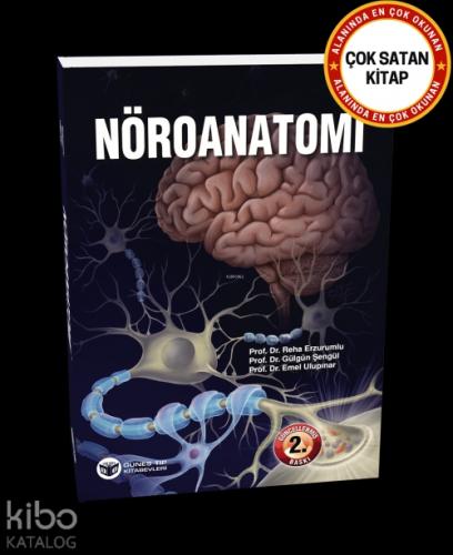 Nöroanatomi  Frontansicht 1