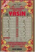 41 Yasin Fihristli Orta Boy  Frontansicht 1