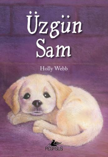Üzgün Sam  Frontansicht 1