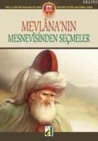 Mevlâna´nın Mesnevîsi´nden Seçmeler  Frontansicht 1