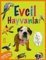 Hayvanlar Dizisi - Evcil Hayvanlar  Frontansicht 1
