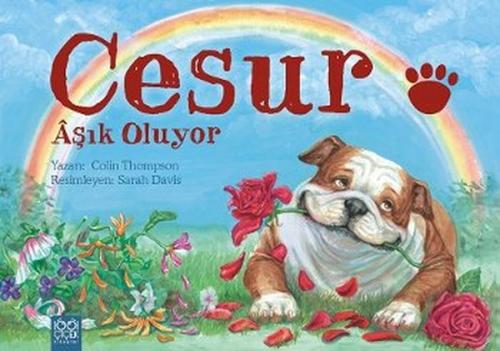 Cesur Aşık Oluyor  Frontansicht 1