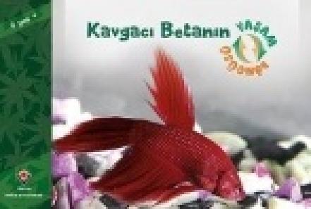 Kavgacı Betanın Yaşam Döngüsü  Frontansicht 1