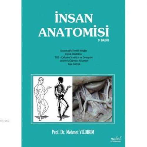 İnsan Anatomisi  Frontansicht 1
