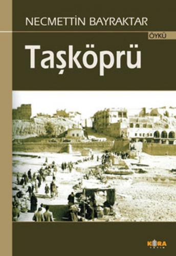 Taşköprü  Frontansicht 1