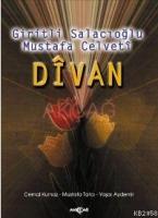 Dîvan  Frontansicht 1