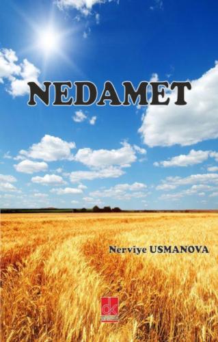 Nedamet  Frontansicht 1