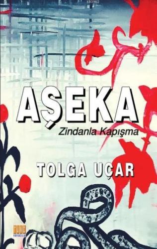Aşeka  Frontansicht 1