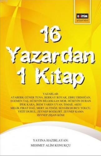 16 Yazardan 1 Kitap  Frontansicht 1