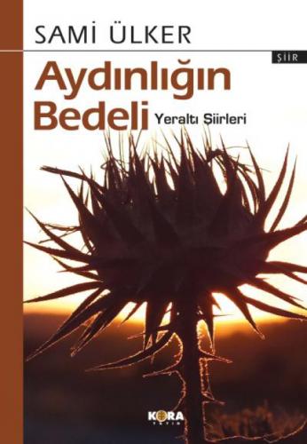 Aydınlığın Bedeli  Frontansicht 1