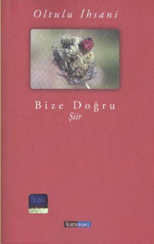 Bize Doğru  Frontansicht 1