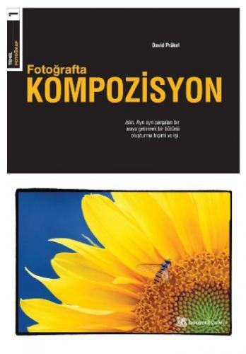 Fotoğrafta Kompozisyon  Frontansicht 1