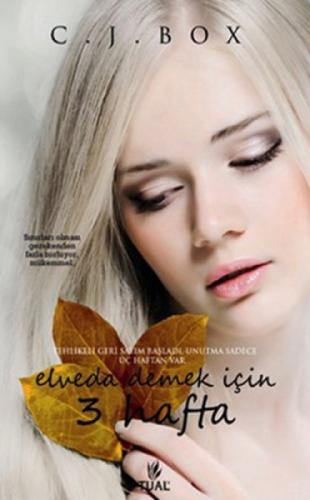 Elveda Demek İçin 3 Hafta  Frontansicht 1