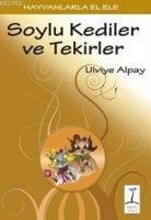 Soylu Kediler ve Tekirler  Frontansicht 1