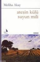 Ateşin Külü Suyun Mili  Frontansicht 1