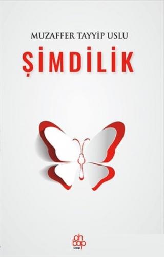 Şimdilik  Frontansicht 1