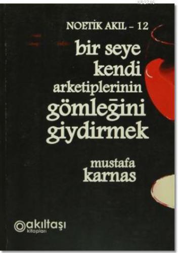 Bir Şeye Kendi Arketiplerinin Gömleğini Giydirmek  Frontansicht 1