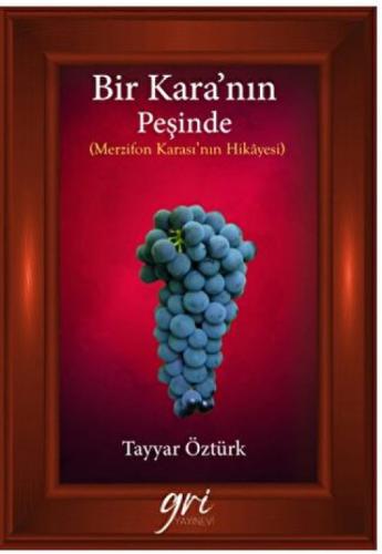 Bir Kara'nın Peşinde  Frontansicht 1