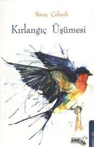 Kırlangıç Üşümesi  Frontansicht 1