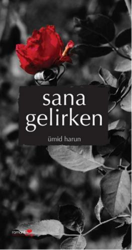 Sana Gelirken  Frontansicht 1