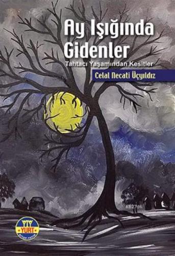 Ay Işığında Gidenler  Frontansicht 1