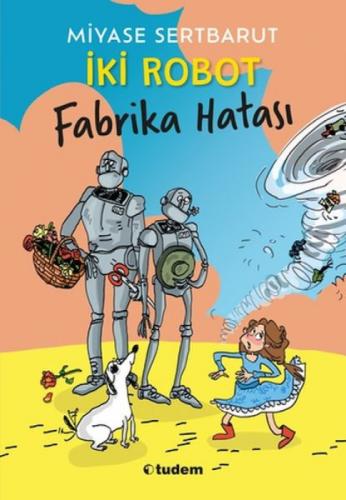 İki Robot Fabrika Hatası  Frontansicht 1