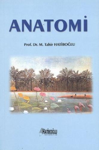 Anatomi  Frontansicht 1