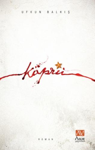 Köprü  Frontansicht 1