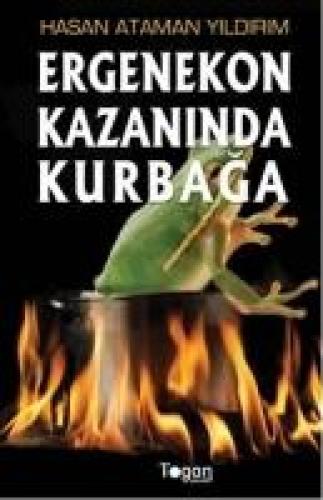 Ergenekon Kazanında Kurbağa  Frontansicht 1