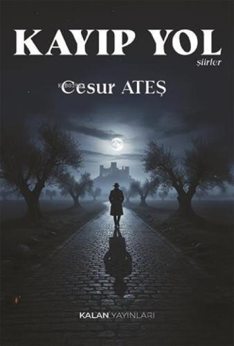 Kayıp Yol  Frontansicht 1