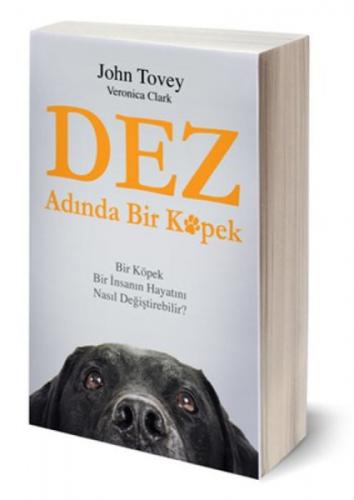 Dez Adında Bir Köpek  Frontansicht 1