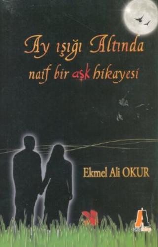 Ay Işığı Altında Naif Bir Aşk Hikayesi  Frontansicht 1