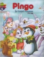 Pingo  Frontansicht 1