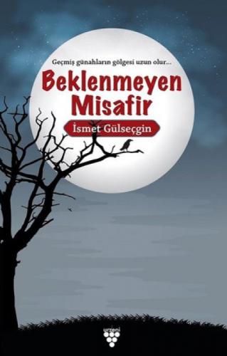 Beklenmeyen Misafir  Frontansicht 1