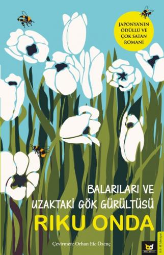 Balarıları ve Uzaktaki Gök Gürültüsü  Frontansicht 1