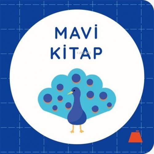 Mavi Kitap (Ciltli)  Frontansicht 1