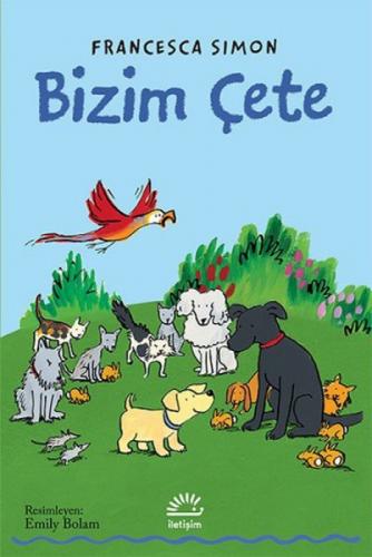 Bizim Çete  Frontansicht 1