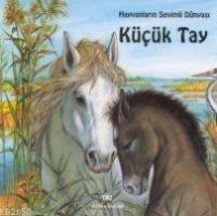 Küçük Tay  Frontansicht 1