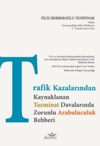 Trafik Kazalarından Doğan Tazminat Davalarında Arabuluculuk Rehberi  Frontansicht 1