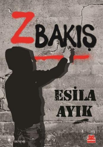 Z Bakış  Frontansicht 1